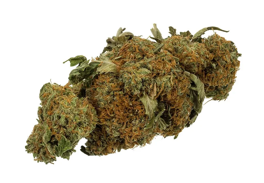 A dried cannabis flower with orange pistils, haze-style bud